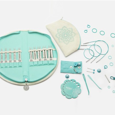 Kit de agujas IV