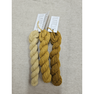 Pack de lanitas Gorditas -...