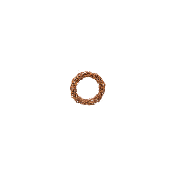 Corona de sarmiento